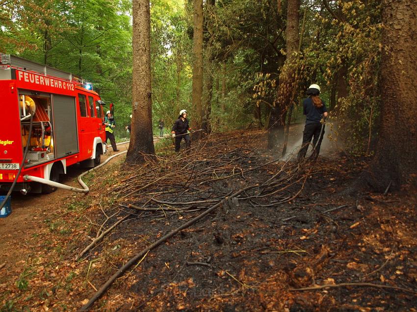 Waldbrand Bergisch Gladbach Bensberg P182.JPG